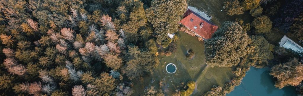 aerial view of a forest hot tub